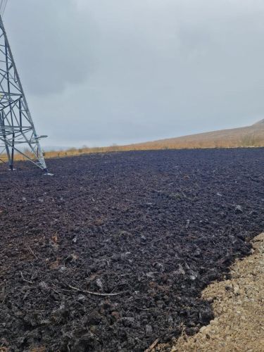 WhatsApp Image 2023-12-08 at 19.17.55_0d43b343